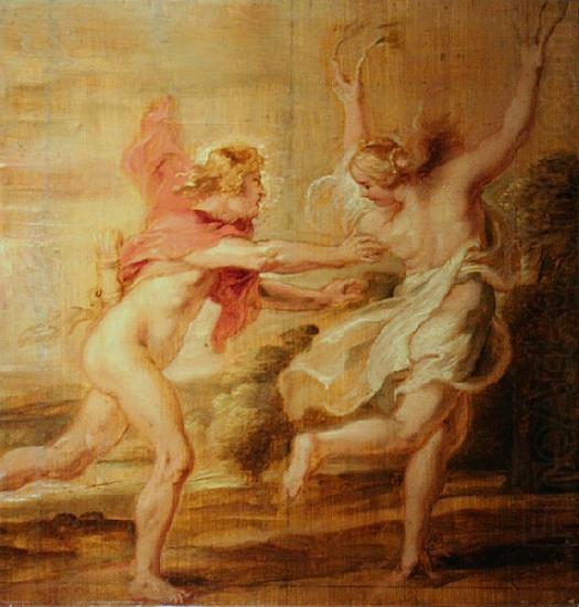Apollo and Daphne, Peter Paul Rubens